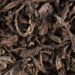 Pu-erh original nature