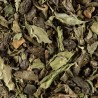 Thé vert à la menthe