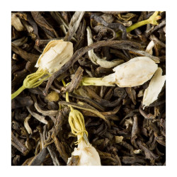 Thé glacé Jasmin