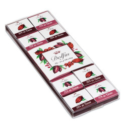 24 chocolats noirs Dolfin