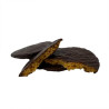 Galettes fines enrobées de chocolat