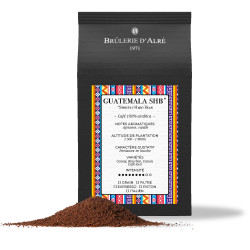 Guatemala SHB