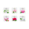 Assortiment 9 chocolats
