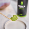 Matcha "Daily"