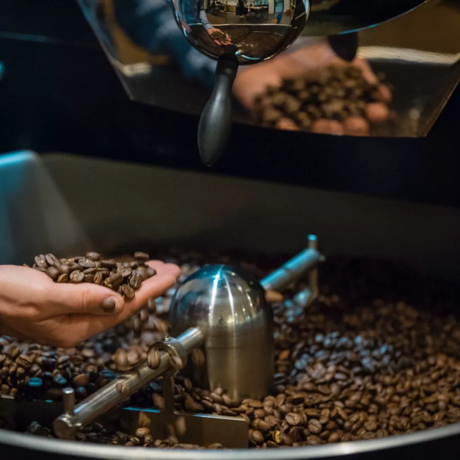 Pure origine ou assemblage blend ? Quel est le meilleur café ?